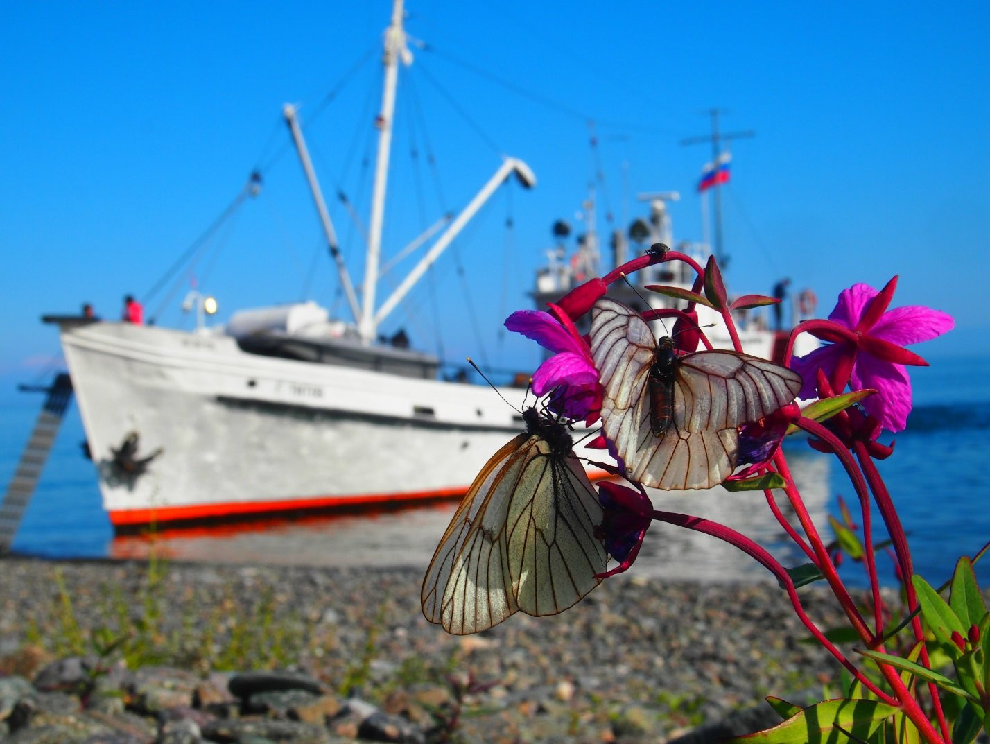 titov12-21July2018-3