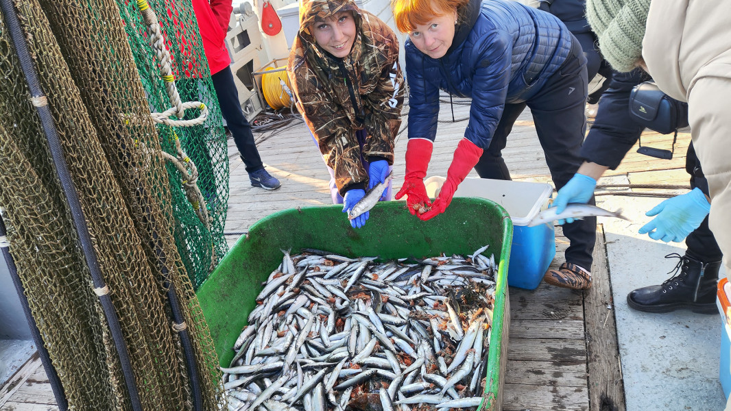 IMG_20240524_185200_1