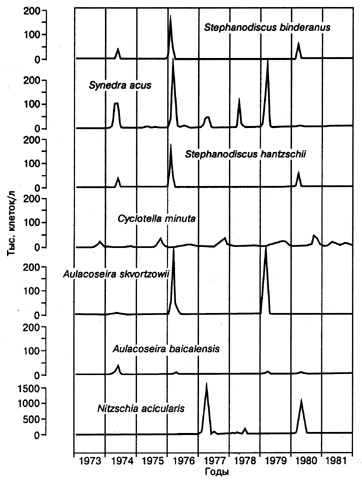 Динамика изменения численности ведущих байкальских диатомовых водорослей в открытом Байкале на станции в районе пос. Большие Коты в 1973-81 гг. Данные Н.Л. Антиповой (Долгосрочное ...1988). Для пробоподготовки использовался отстойный метод (Utermoel 1936, 1958).