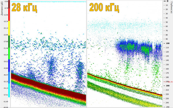 Echograms of Baikal omul schools based on dual-frequency probing data